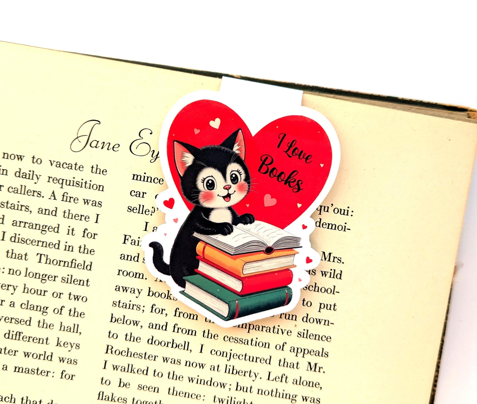 Cat Magnetic Bookmark - Bookish Gift The Curious Catbird
