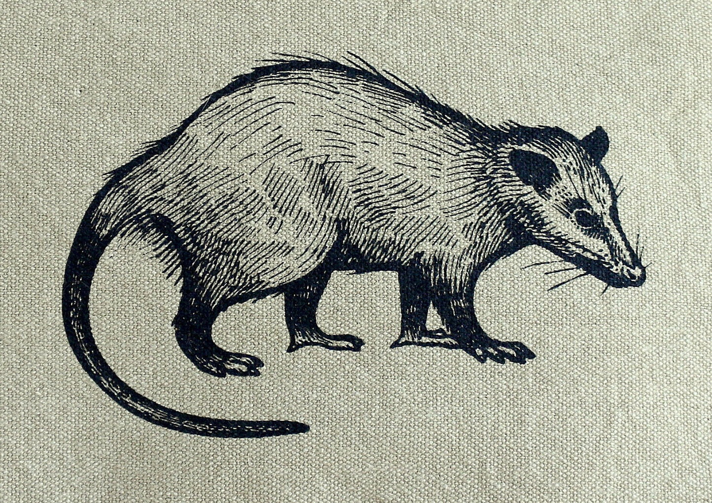 Opossum Tech Messenger Bag The Curious Catbird