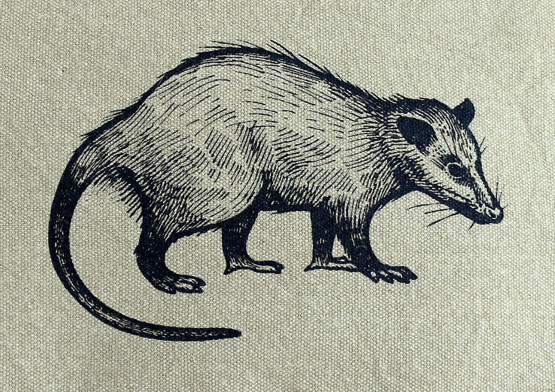 Opossum Tech Messenger Bag The Curious Catbird
